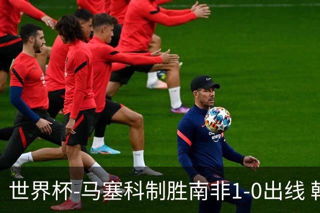 世界杯-马塞科制胜南非1-0出线 韩国积3分获小组第三待定