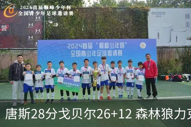 唐斯28分戈贝尔26+12 森林狼力克黄蜂4连胜